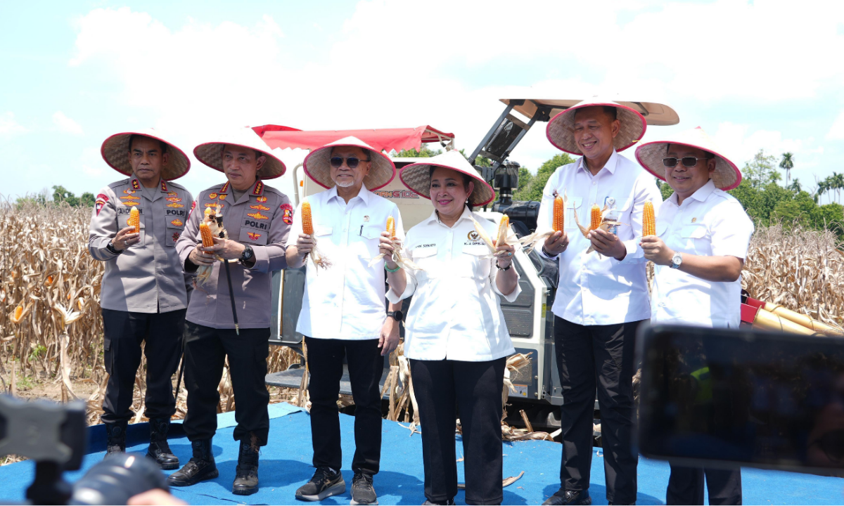 146790_panen-raya-jagung_20251006181117.png