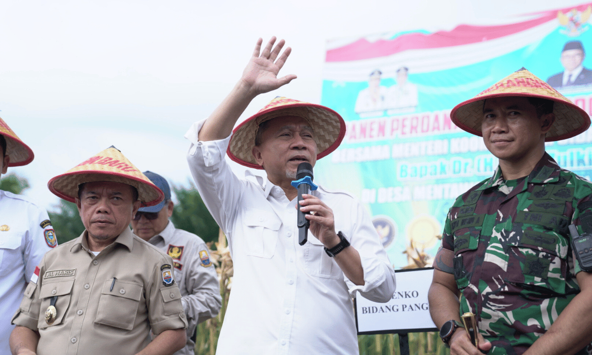 40206_panen-jagung-perdana-dorong-ketahanan-pangan-daerah_20260105114255.png